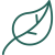 leaf (2)